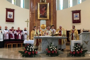 kardynał dziwisz w kościele świętego karola boromeusza